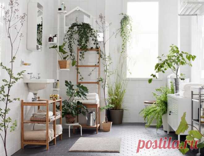 ​Украшаем интерьер квартиры при помощи комнатных растений — Полезные советы