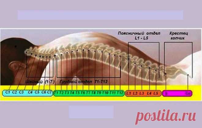 Врач-реабилитолог: как разблокировать позвоночник - Все обо Всем