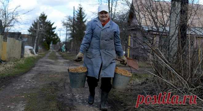 Дачная реформа. Что изменится в наступающем сезоне