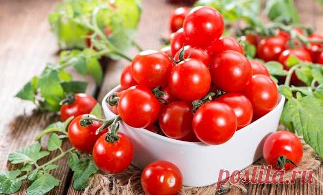 6 универсальных и неприхотливых сортов томатов черри | На грядке (Огород.ru)