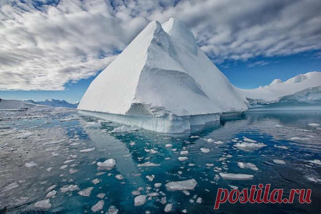 Необыкновенная экзотическая Антарктида. Фотограф Мартин Бэйли (Martin Bailey) - Фотоискусство