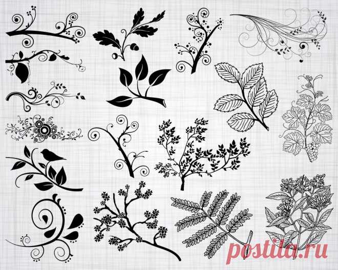 Branch SVG Decorative Branch SVG Leaf Svg Branches Svg