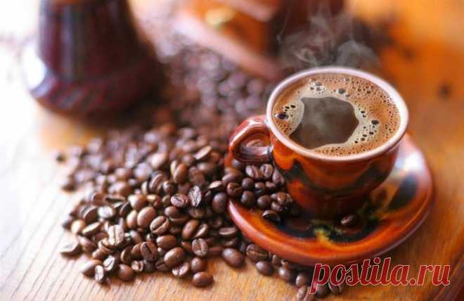 10 распространённых мифов о кофе, в которых нет ни капли правды Кофе является любимейшим напитком большинства людей живущих на планете, многие из которых даже в страшных кошмарах не могут представить своё утро без этого крепкого бодрящего эликсира. Но также многие...
