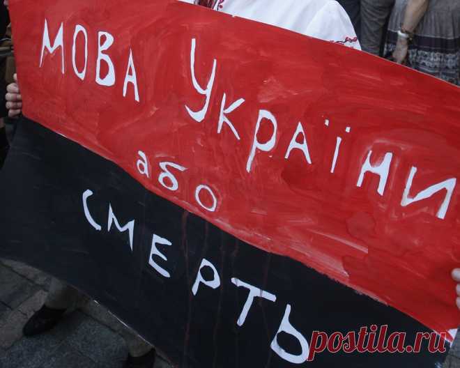 Власти Украины приняли решительные меры против русского языка