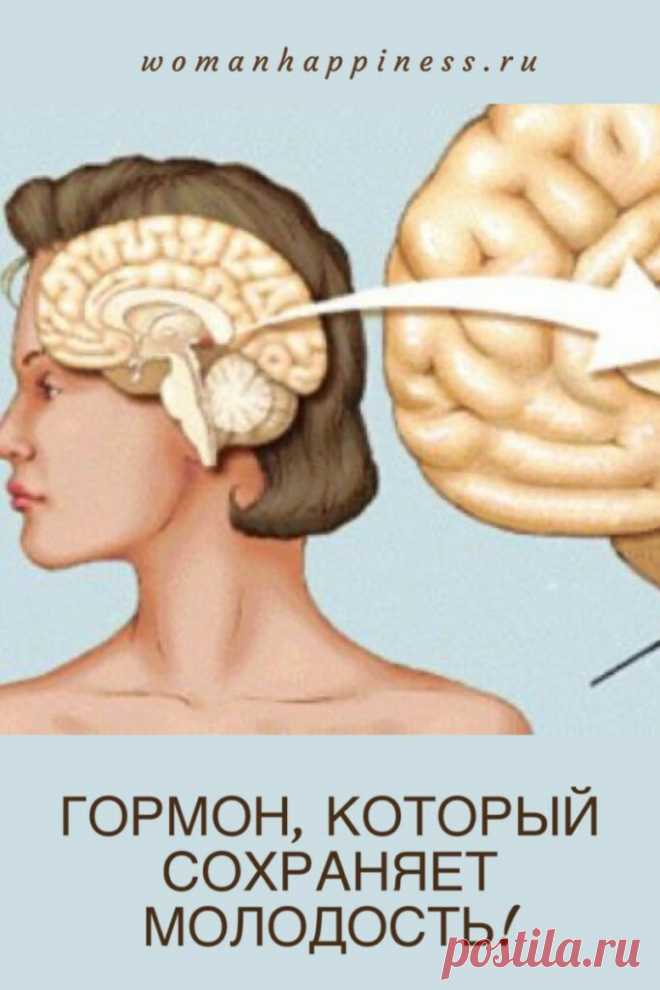 Гормон молодости - время назад 
Этот гормон называют — «гормон молодости и красоты». И не зря!
Мелатонин оказывает мощный антиоксидантный и противоопухолевый эффект! Мелатонин — это гормон молодости! Как наладить его выработку в организме? Кликайте на фото, чтобы прочитать ⤴