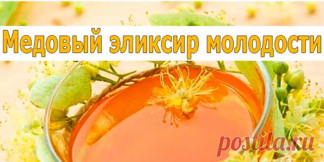 Медовый эликсир молодости | Полезные советы