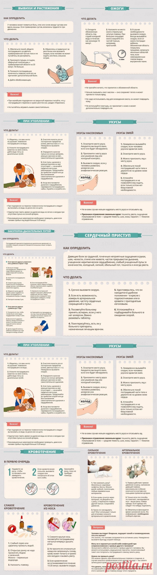 Важная информация - оказание первой помощи