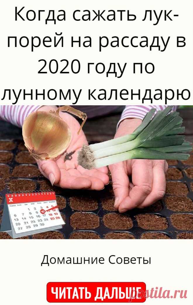 Когда сажать лук-порей на рассаду в 2020 году по лунному календарю