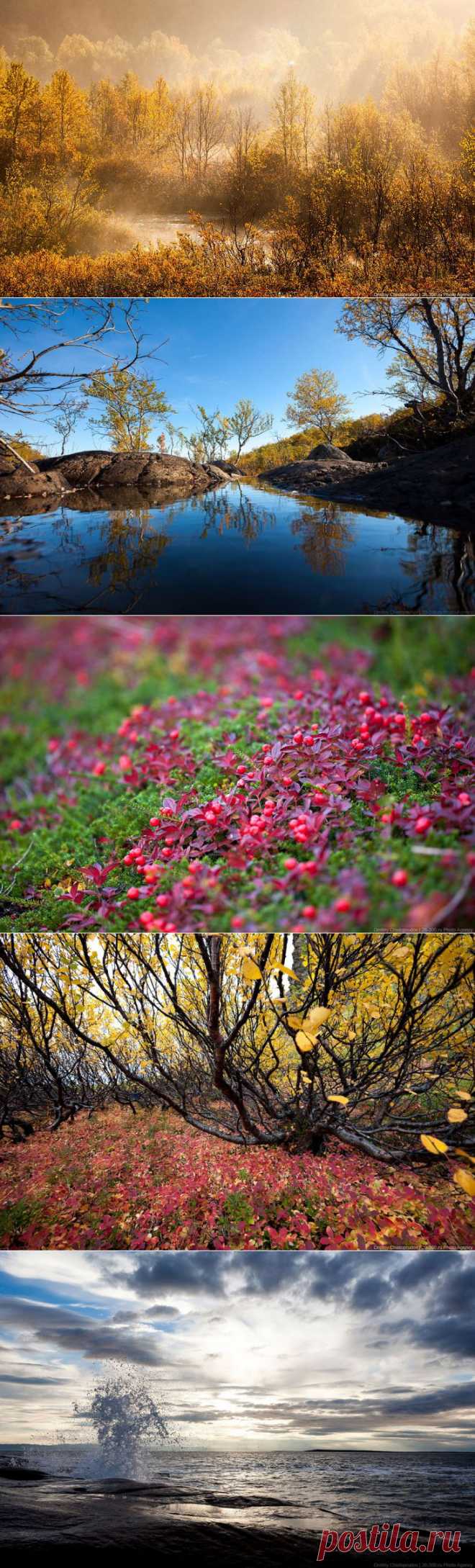 >> Золотая осень на Кольском полуострове | ФОТО НОВОСТИ