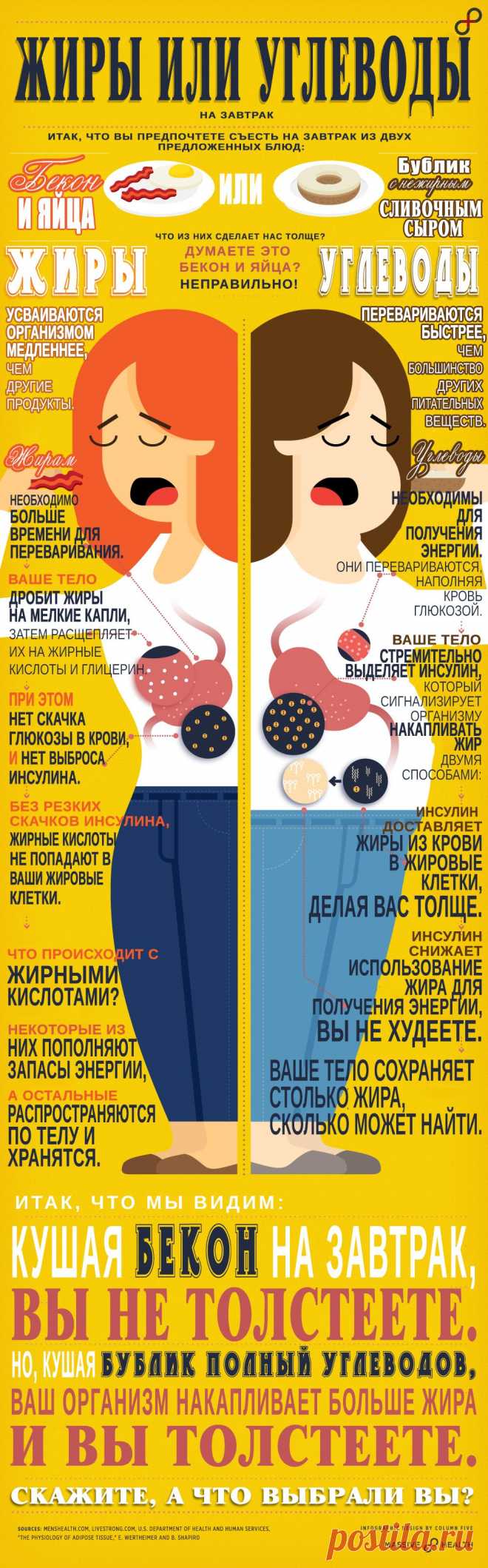 ИНФОГРАФИКА: Жиры или углеводы? - Лайфхакер