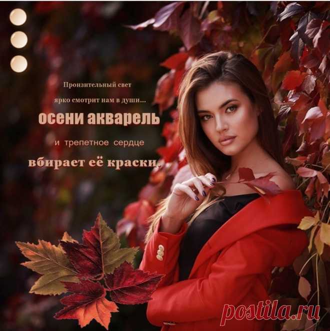 Осени акварель ~ Плэйкасты ~ Beesona.Ru