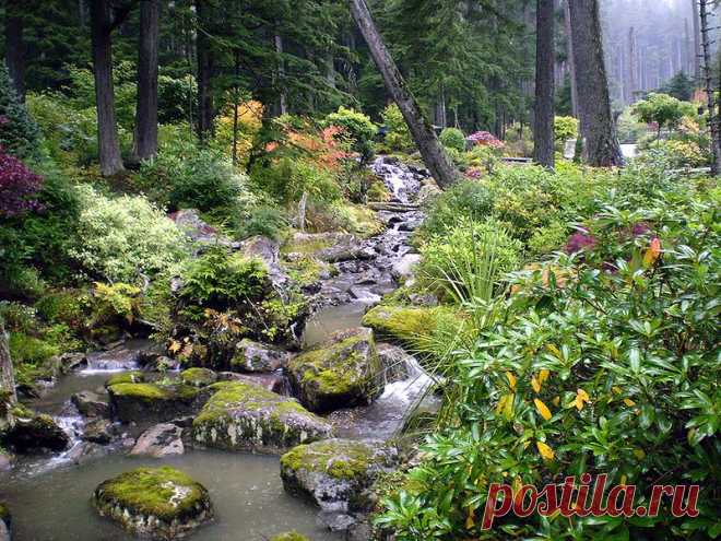 Ботанический сад Glacier Gardens, Juneau, Alaska