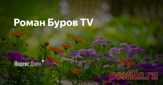 Роман Буров TV | Яндекс Дзен Полезный канал про дачу, сад и огород. Спасибо за подписку! 
Заходите на мой 1 ютьюб канал https://www.youtube.com/channel/UCM_TNwx2wm8p2MHvhMW1eDw?view_as=subscriber 
И на мой 2 ютьюб канал https://www.youtube.com/channel/UClFe_7IpBqi5ygDreeyoRdA?view_as=subscriber
