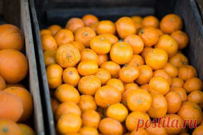 8 причин никогда не выбрасывать апельсиновую кожуру — Турба-Урба