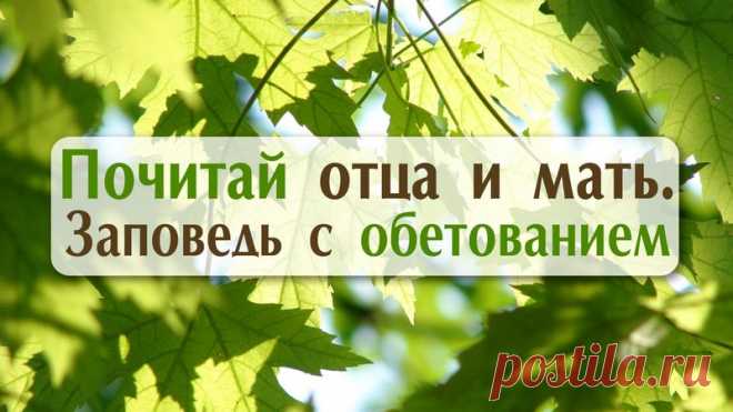 А позвони родителям, они всегда ждут | Справочно-информационный портал Алчевского благочиния