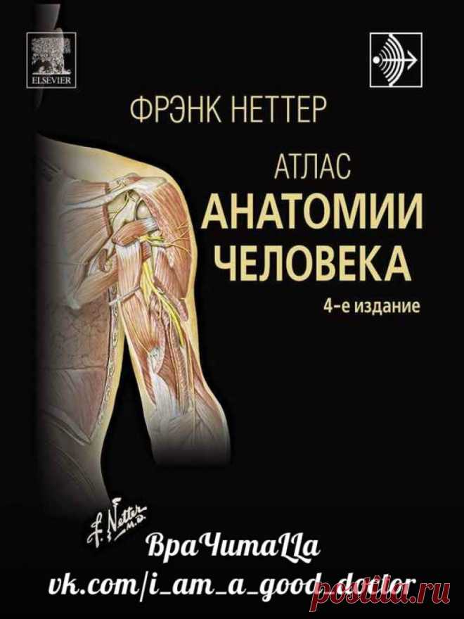Фрэнк неттер. Атлас анатомии человека Фрэнк Неттер 4 издание. Атлас анатомии Фрэнк Неттер 6 издание. Атлас анатомии человека Фрэнк Неттер 7 издание. Атлас по анатомии Фрэнка Неттера 4 е издание.