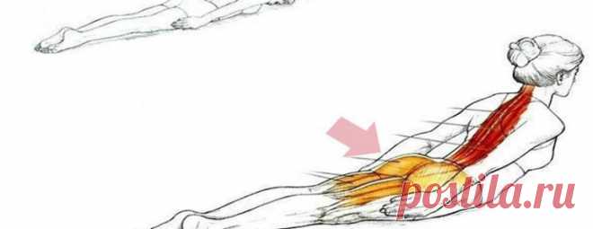 Супер упражнение, которое избавит Вас от боли в спине! Читать ВСЕМ!