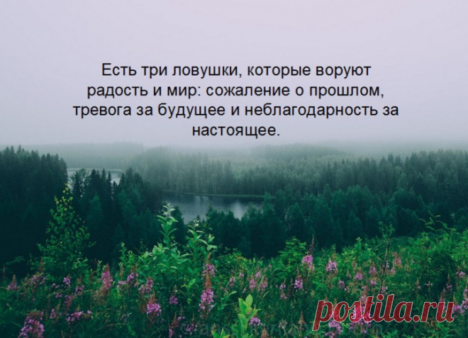 40 потрясающих цитат Ошо о жизни, любви и свободе -