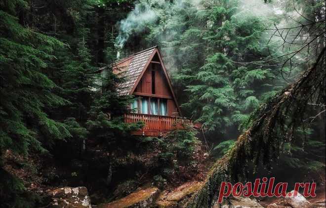 Фотоподборка: 65 волшебных домиков в лесу — INMYROOM