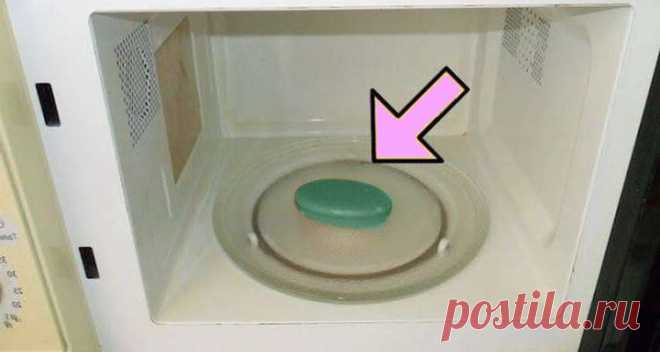 Что случится, если кусок мыла поставить в микроволновую печь? - Образованная Сова
