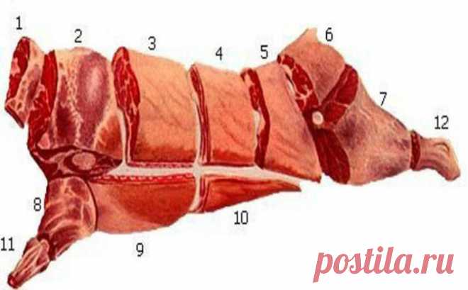 Это надо знать! Кулинарное использование частей (Говядина, Свинина,Баранина)