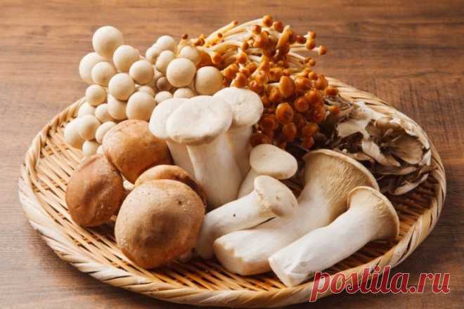 Съедобные грибы – названия, фото и описания Собрали для тебя самые популярные съедобные грибы с фото, названиями и описаниями. Царство грибов настолько обширное и разнообразное, что разбираться в нем можно несколько сезонов, а то и лет!