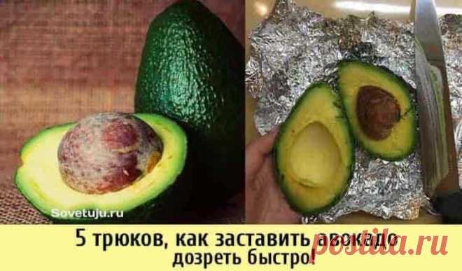 Как сделать чтобы авокадо быстро дозрело