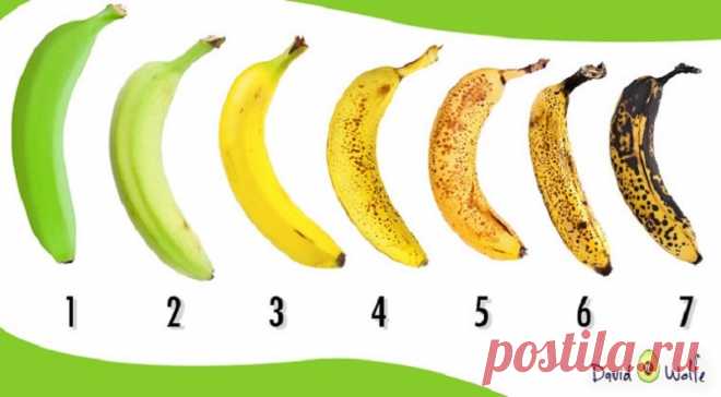 Вот почему нужно покупать бананы только с черными пятнами! Бананы - один из самых недооцененных фруктов. По экзотичности они уступают другим фруктам, например, манго.Но факт остается фактом, бананы – это вкусно, питательно, и в них очень много витаминов и