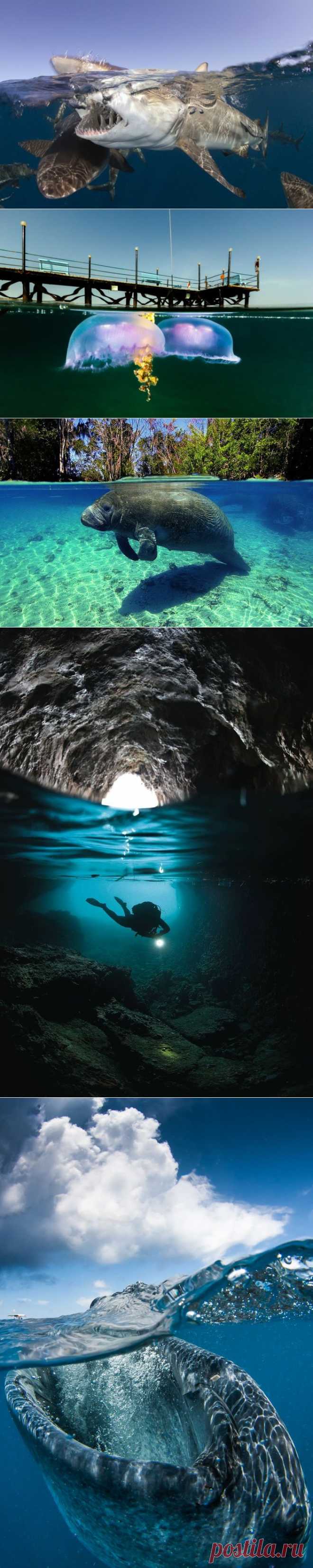 Что скрывается под водой: 34 невероятные фотографии - Познавательно