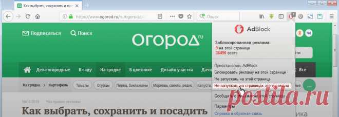 Севооборот, или Что после чего сажать в огороде | Дела огородные (Огород.ru)