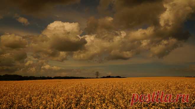 Big Sky | Rolling golden fields in E. Yorkshire, UK. This on… | Flickr