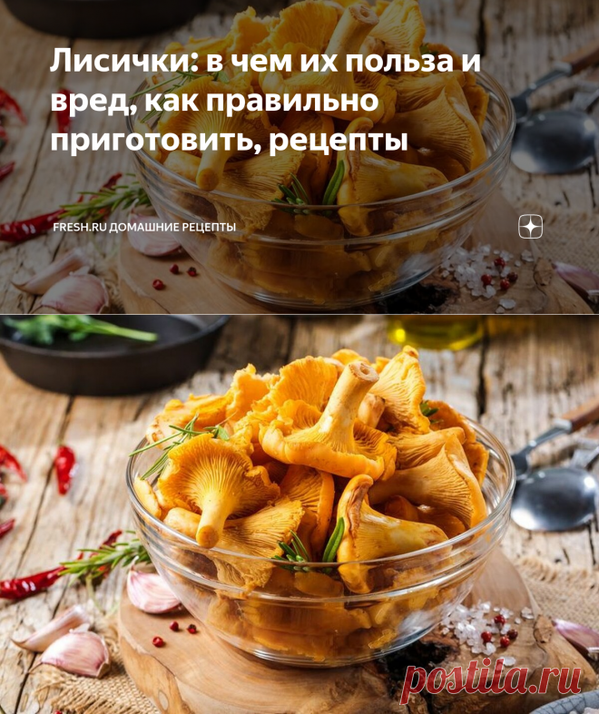 Лисички: в чем их польза и вред, как правильно приготовить, рецепты | Fresh.ru домашние рецепты | Яндекс Дзен