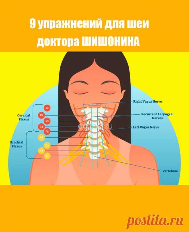 Как навсегда забыть о высоком давлении: 9 упражнений доктора ШИШОНИНА