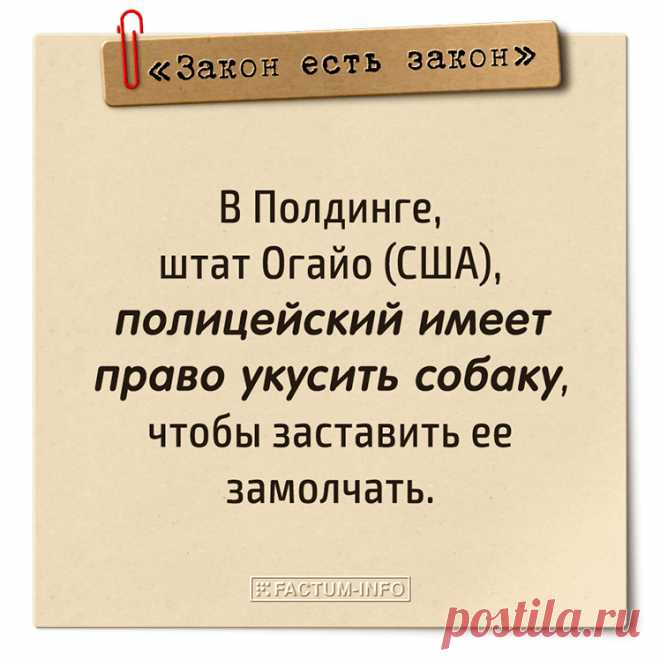 ⠀
☑️ В Полдинге, штат Огайо (США), полицейский имеет право укусить собаку, чтобы заставить её замолчать
⠀
ℹ️ Смешные и глупые законы → https://factum-info.net/interesnoe/raznoe/324-podborka-glupykh-zakonov