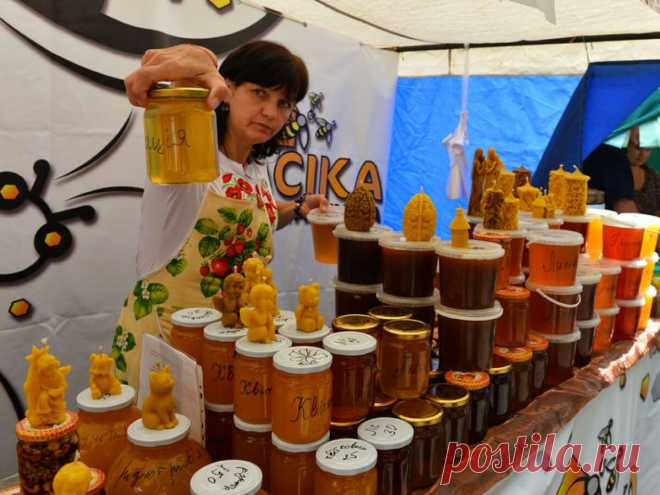 Женщина показала, как просто без лабораторных анализов отличить натуральный мед от подделки | Лаборатория Вкуса | Яндекс Дзен
