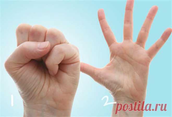 Боремся с артрозом: 10 простых упражнений для ладоней и пальцев 
К наиболее эффективным методам лечения артроза относится остеопатия. Как правило, болезни суставов не возникают сами по себе. Этому предшествуют долгие годы, в течение которых человек может подвергат…