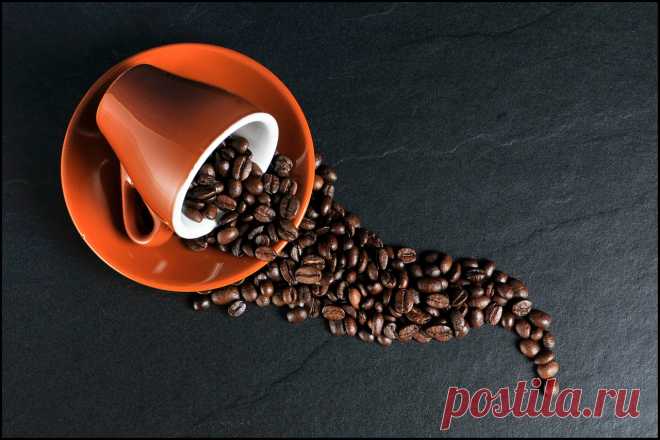 Любители кофе живут дольше остальных - новости на Здоровье Mail.Ru