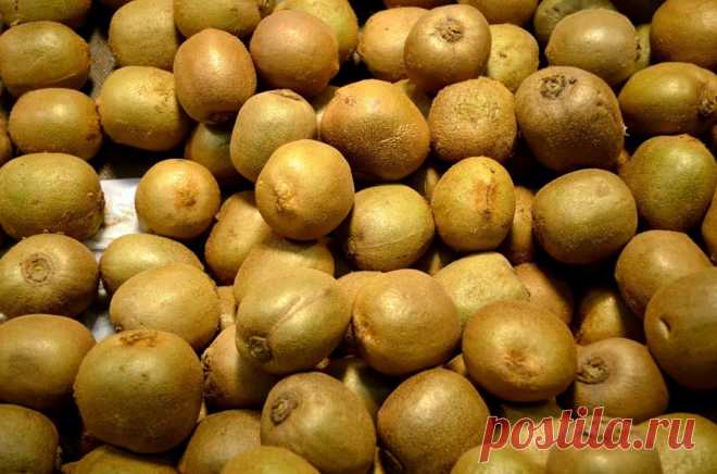 В Белоруссии собрали первый урожай озимого картофеля Наука