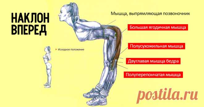 Упражнение "становая тяга"  дает возможность женщинам подтянуть ослабленные мышцы и ускорить обмен веществ