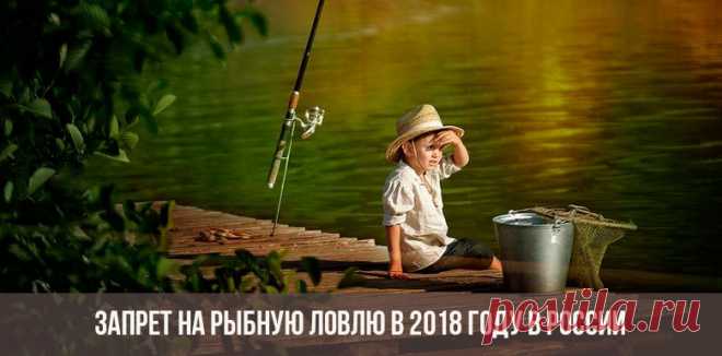 Запрет на рыбную ловлю в 2018 году в России | в Московской области, почему запретили