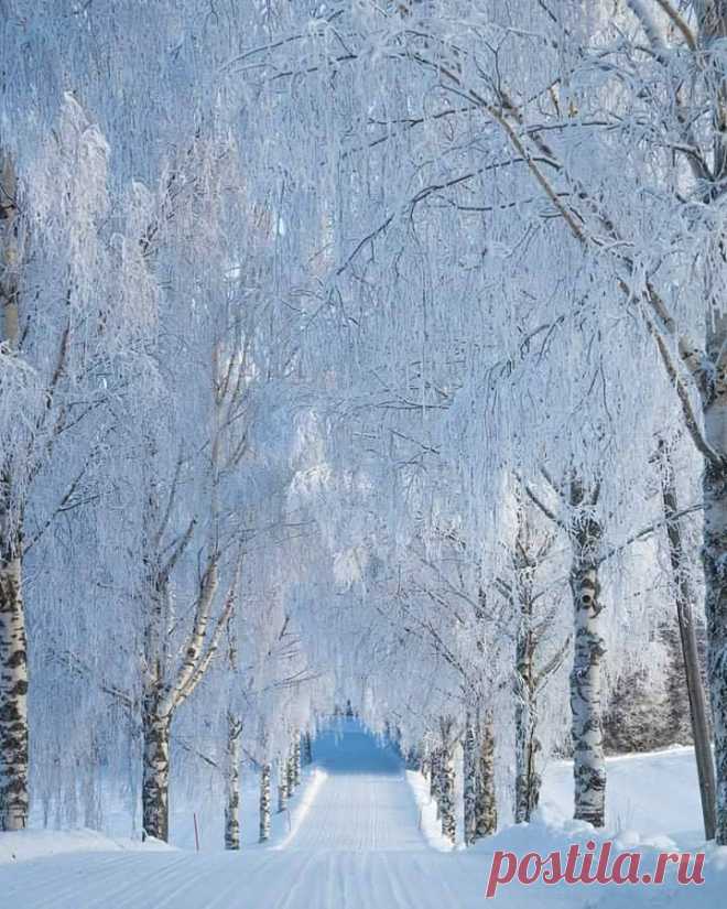 Գեղեցիկ ձմեռ❄...
Հրաշք ․․❄️💙Աննկարագրելի գեղեցիկ տեսարան ❄️❤️
Ձմեռը դա հեքիաթ է․․․գեղեցիկ, սպիտակ և մաքուր։ Թող Ձեր կյանքն էլ լինի այդպիսին...❄️☃️❄️☃️❄️
Չկա ոչինչ ավելի գեղեցիկ, քան փոքրիկ երեխան 💝❄️🌧Աշխարհը միանգամայն այլ կերպ կերևա,եթե նայես նրան ոչ միայն քո տեսանկյունից...🌈