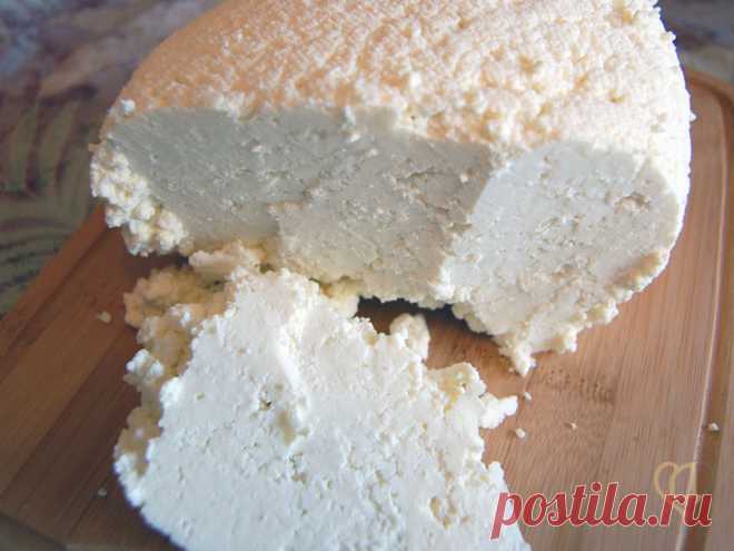 Рецепт сыров Кесо Бланко и Панир | Рецепты сыра | Сырный Дом: все для домашнего сыроделия