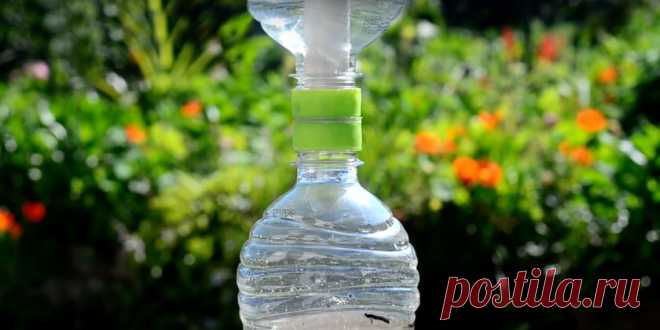 Как сделать очиститель воды из двух пластиковых бутылок 

Этот трюк может спасти вас в экстремальной ситуации, если в досягаемой близости нет источника чистой питьевой воды.


Автору этих строк знание этого способа очень пригодилось бы в прошлогоднем поход…
