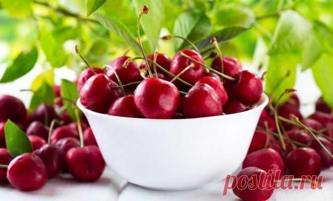 Топ-5 самых сладких сортов вишни | Вишня, черешня (Огород.ru)