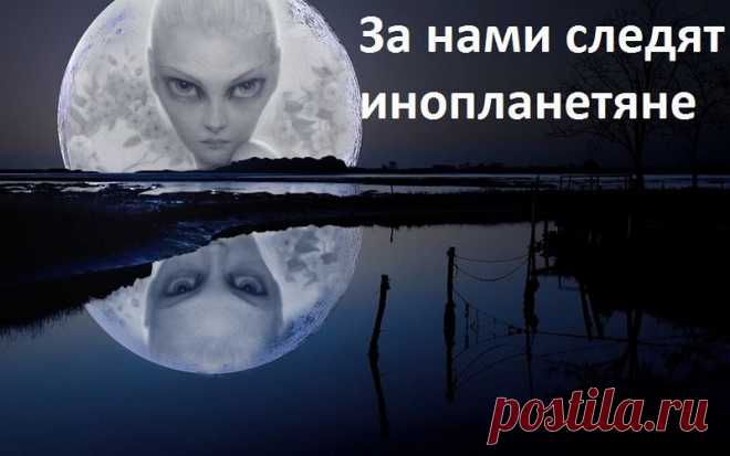 Jeck56 — «За нами следят инопланетяне.jpg» на Яндекс.Фотках