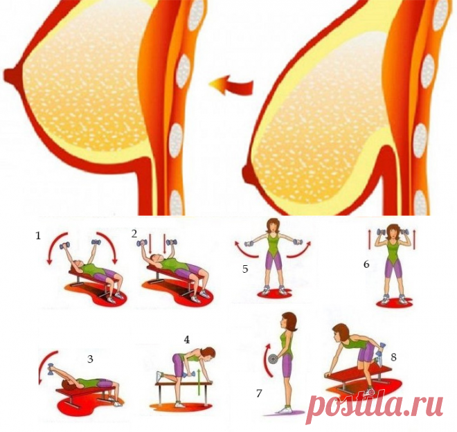 8 полезных упражнений для упругой груди