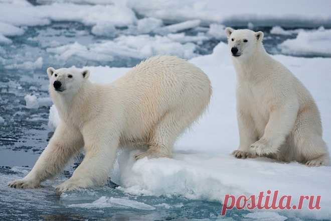 Photographic Tours with Paul Goldstein | Exodus