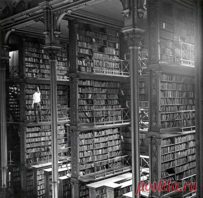25 самых восхитительных библиотек со всего мира - VICER.RU