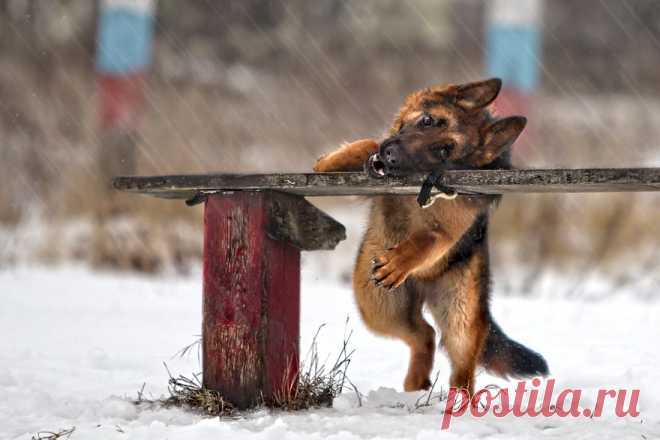 35PHOTO - Igor Perfilyev - Последний дождь и первый снег