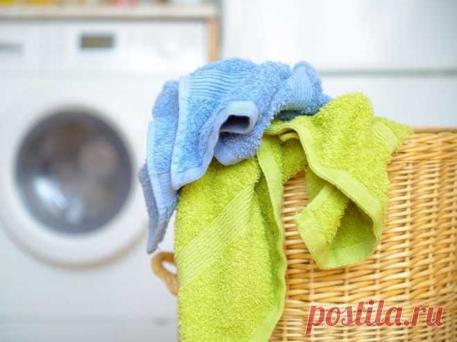 Как отстирать кухонные полотенца в микроволновке? / Домоседы